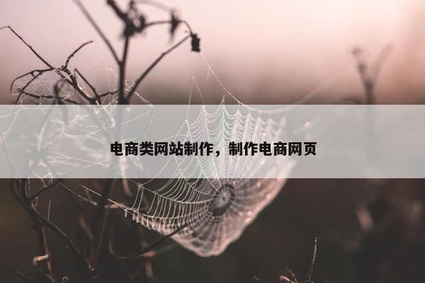 电商类网站制作，制作电商网页