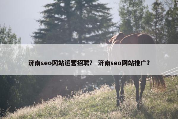 济南seo网站运营招聘？ 济南seo网站推广？