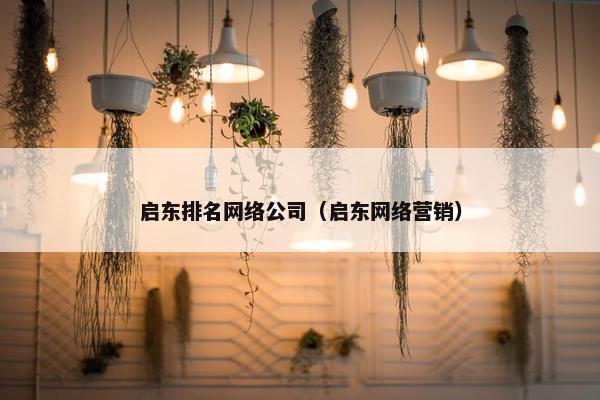 启东排名网络公司（启东网络营销）