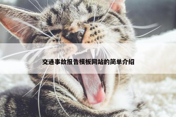 交通事故报告模板网站的简单介绍