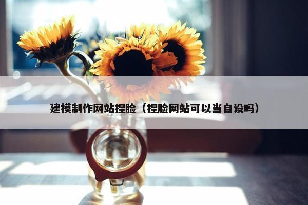 建模制作网站捏脸（捏脸网站可以当自设吗）