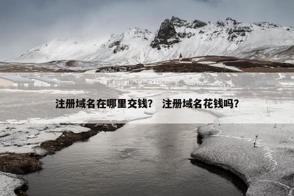 注册域名在哪里交钱？ 注册域名花钱吗？