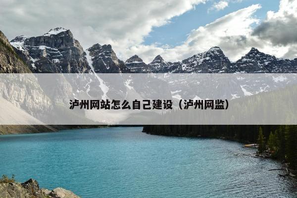 泸州网站怎么自己建设（泸州网监）