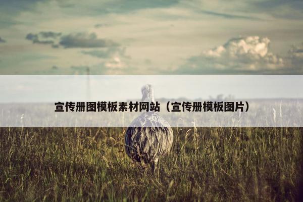 宣传册图模板素材网站（宣传册模板图片）