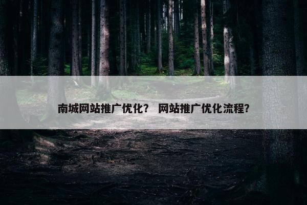 南城网站推广优化？ 网站推广优化流程？