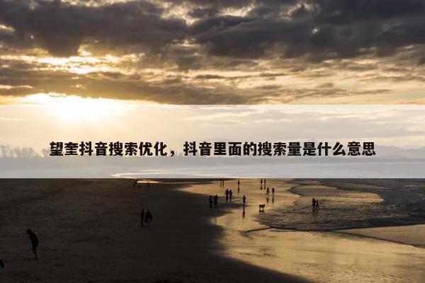 望奎抖音搜索优化，抖音里面的搜索量是什么意思