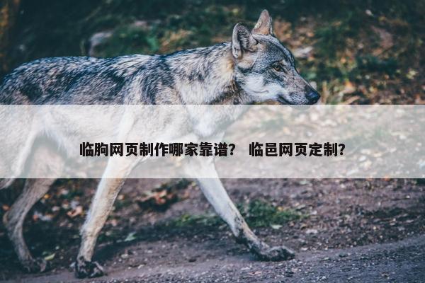 临朐网页制作哪家靠谱？ 临邑网页定制？