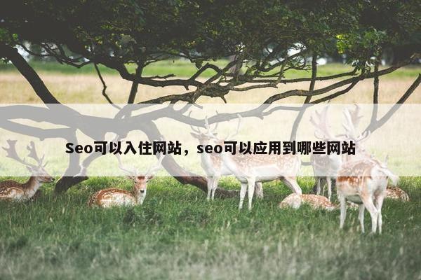 Seo可以入住网站，seo可以应用到哪些网站