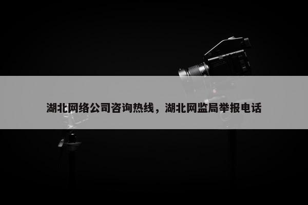 湖北网络公司咨询热线，湖北网监局举报电话