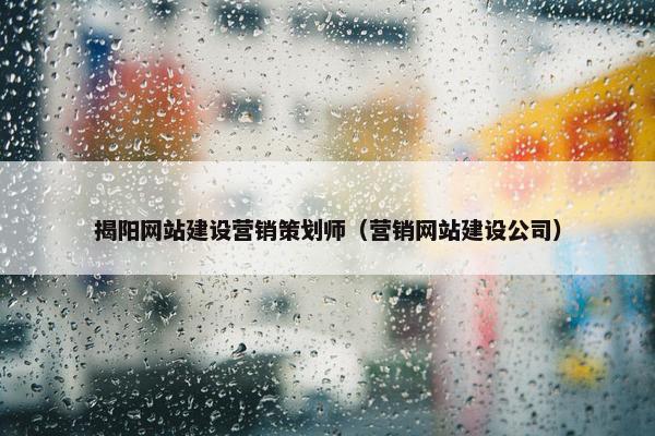 揭阳网站建设营销策划师（营销网站建设公司）