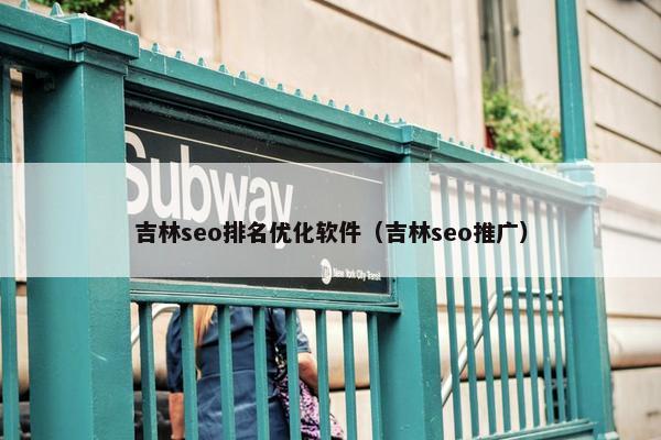 吉林seo排名优化软件（吉林seo推广）