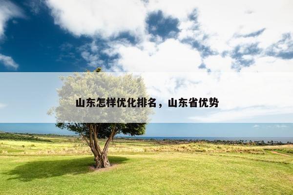 山东怎样优化排名，山东省优势