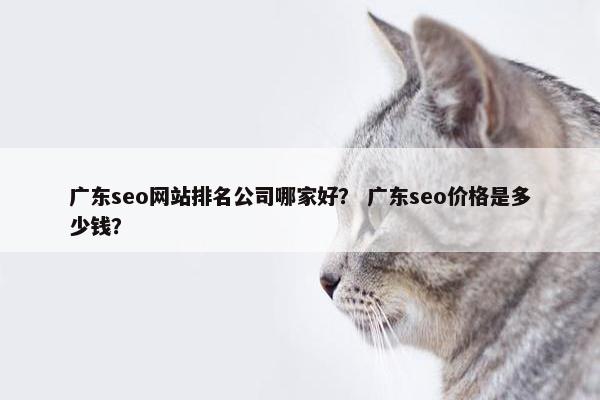 广东seo网站排名公司哪家好？ 广东seo价格是多少钱？