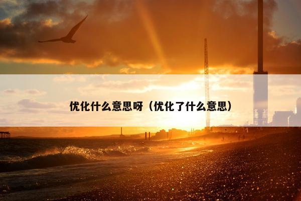 优化什么意思呀（优化了什么意思）