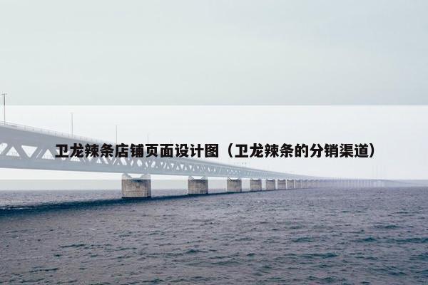 卫龙辣条店铺页面设计图（卫龙辣条的分销渠道）