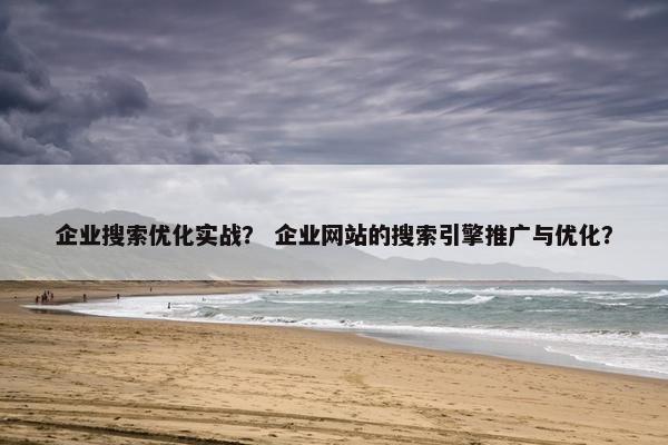 企业搜索优化实战？ 企业网站的搜索引擎推广与优化？