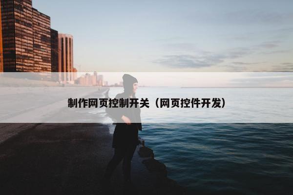 制作网页控制开关（网页控件开发）