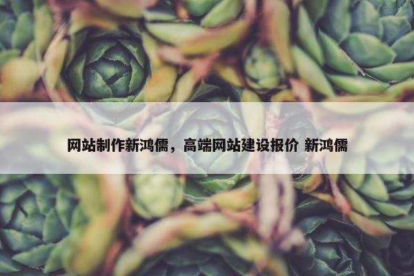 网站制作新鸿儒，高端网站建设报价 新鸿儒