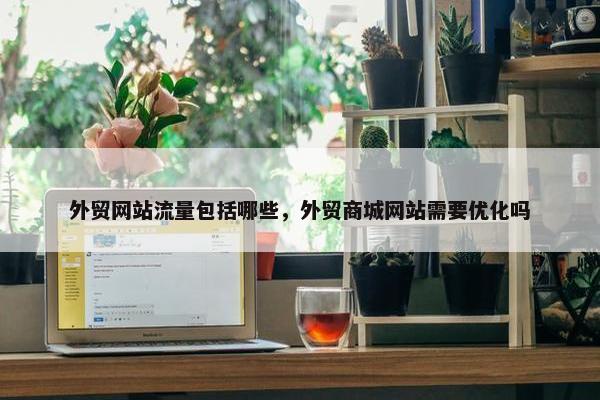 外贸网站流量包括哪些，外贸商城网站需要优化吗