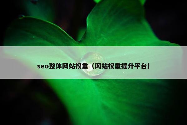 seo整体网站权重（网站权重提升平台）