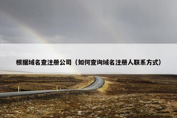 根据域名查注册公司（如何查询域名注册人联系方式）