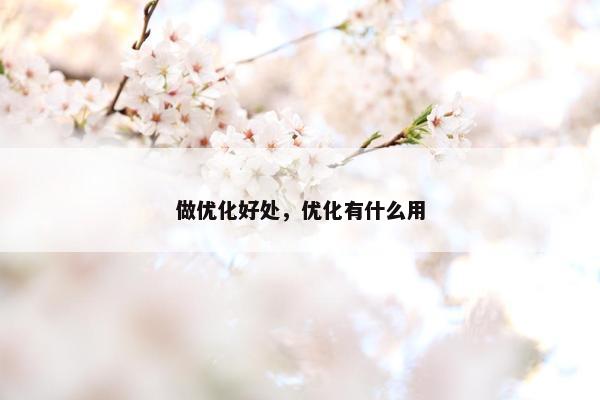 做优化好处，优化有什么用