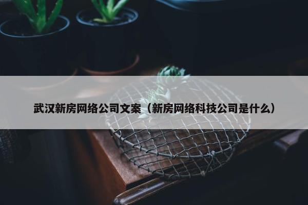 武汉新房网络公司文案（新房网络科技公司是什么）