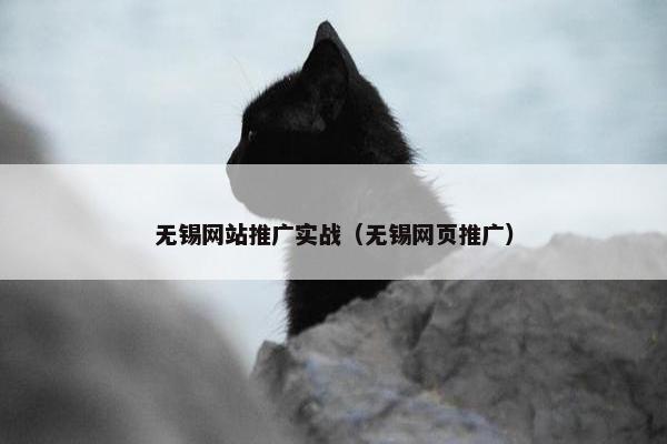 无锡网站推广实战（无锡网页推广）