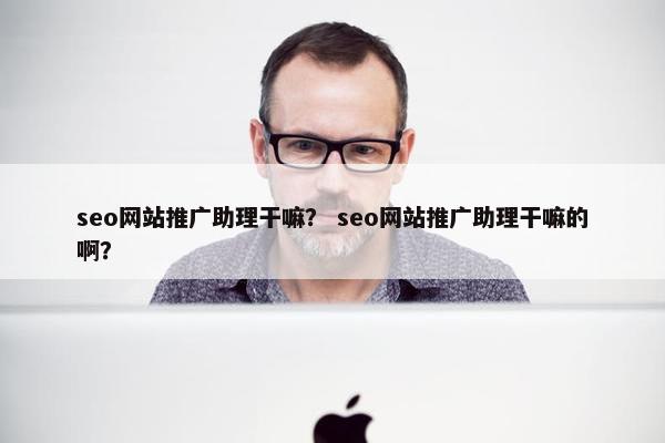 seo网站推广助理干嘛？ seo网站推广助理干嘛的啊？