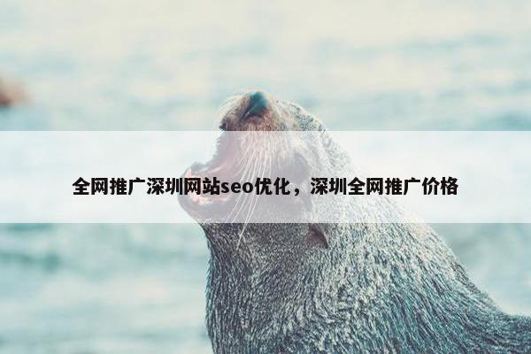 全网推广深圳网站seo优化，深圳全网推广价格