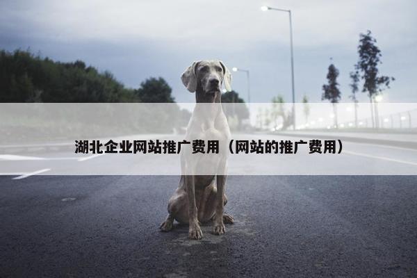 湖北企业网站推广费用（网站的推广费用）