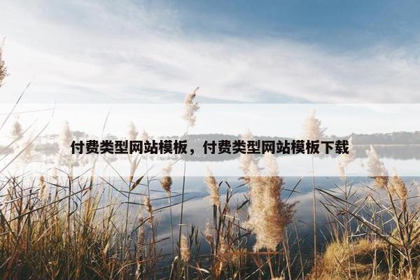 付费类型网站模板，付费类型网站模板下载