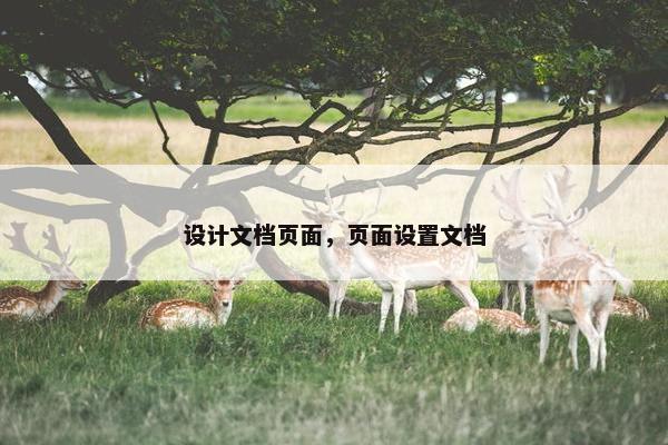 设计文档页面，页面设置文档