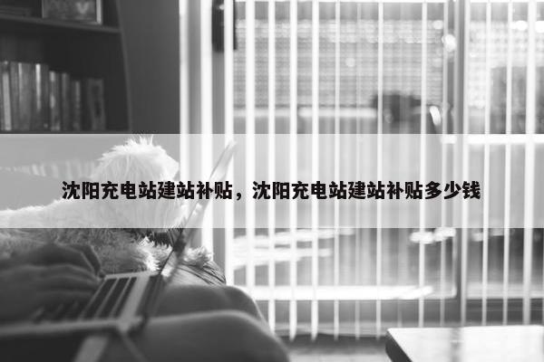 沈阳充电站建站补贴，沈阳充电站建站补贴多少钱