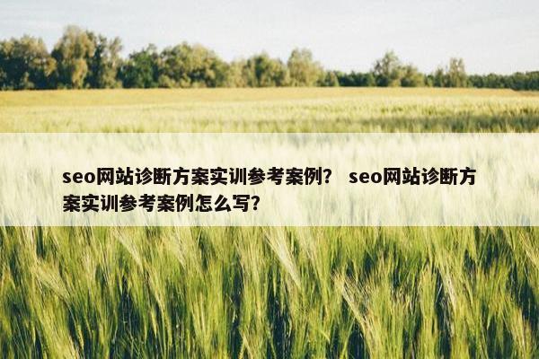 seo网站诊断方案实训参考案例？ seo网站诊断方案实训参考案例怎么写？