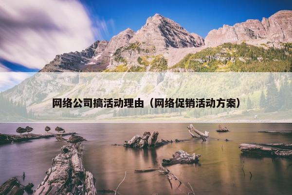 网络公司搞活动理由（网络促销活动方案）
