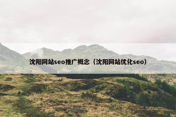 沈阳网站seo推广概念（沈阳网站优化seo）