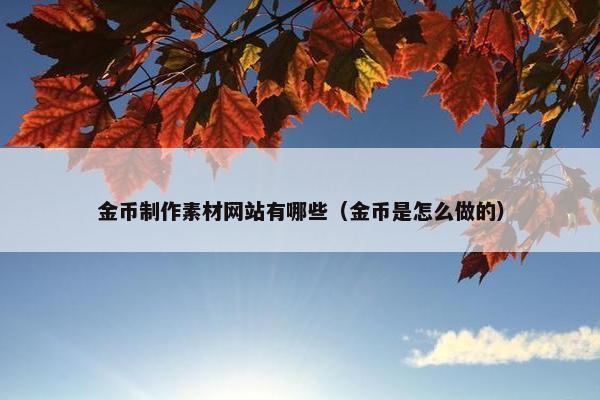 金币制作素材网站有哪些（金币是怎么做的）