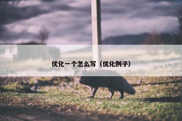 优化一个怎么写（优化例子）