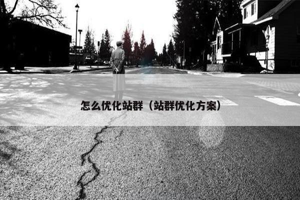 怎么优化站群（站群优化方案）