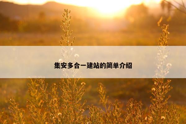 集安多合一建站的简单介绍
