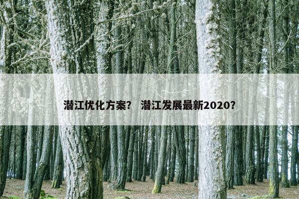 潜江优化方案？ 潜江发展最新2020？