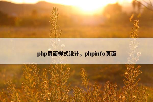 php页面样式设计，phpinfo页面