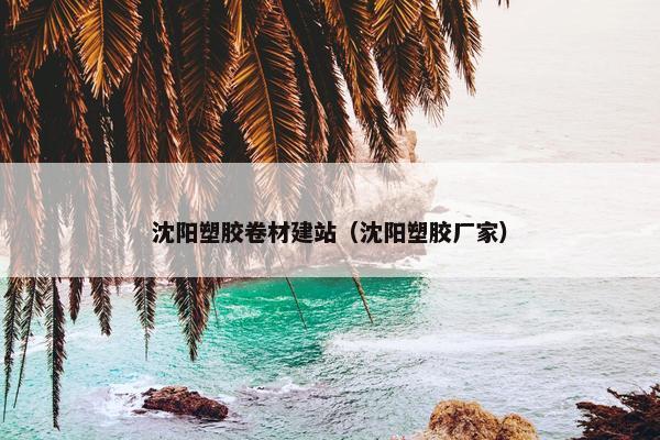 沈阳塑胶卷材建站（沈阳塑胶厂家）
