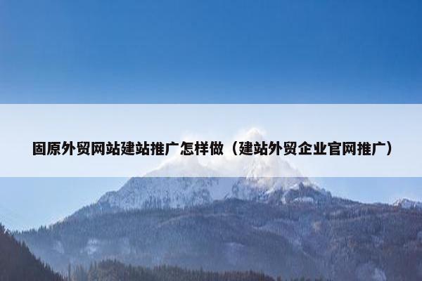 固原外贸网站建站推广怎样做（建站外贸企业官网推广）