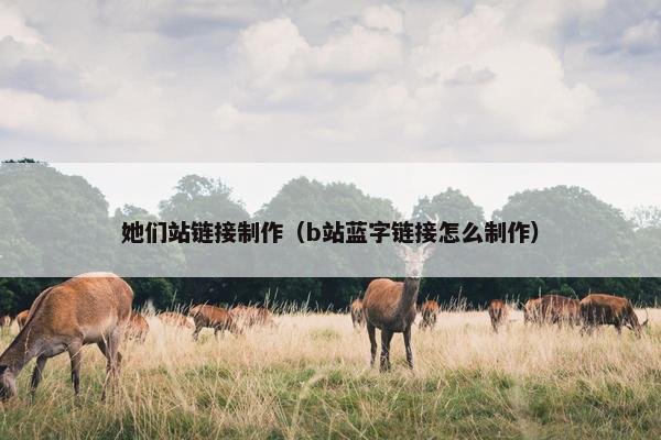 她们站链接制作（b站蓝字链接怎么制作）
