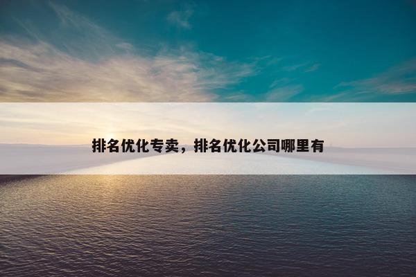 排名优化专卖，排名优化公司哪里有