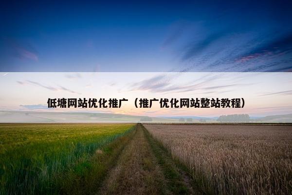 低塘网站优化推广（推广优化网站整站教程）