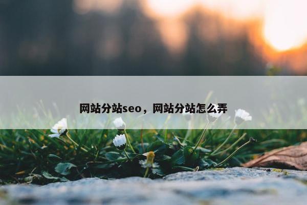 网站分站seo，网站分站怎么弄