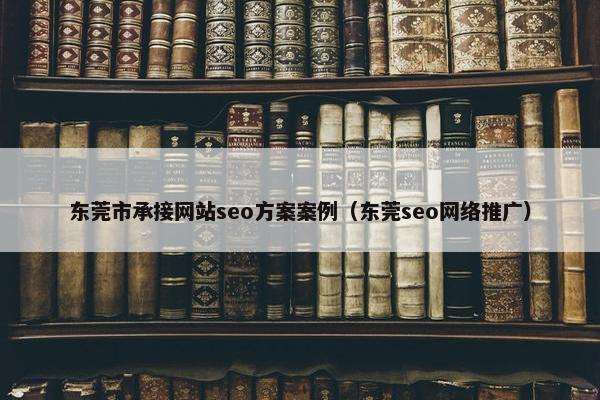 东莞市承接网站seo方案案例（东莞seo网络推广）